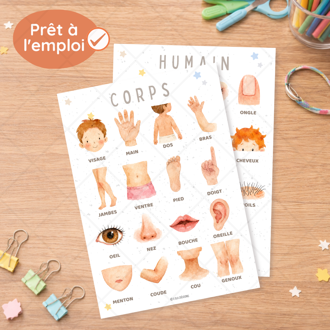 Affiches "Corps humain"