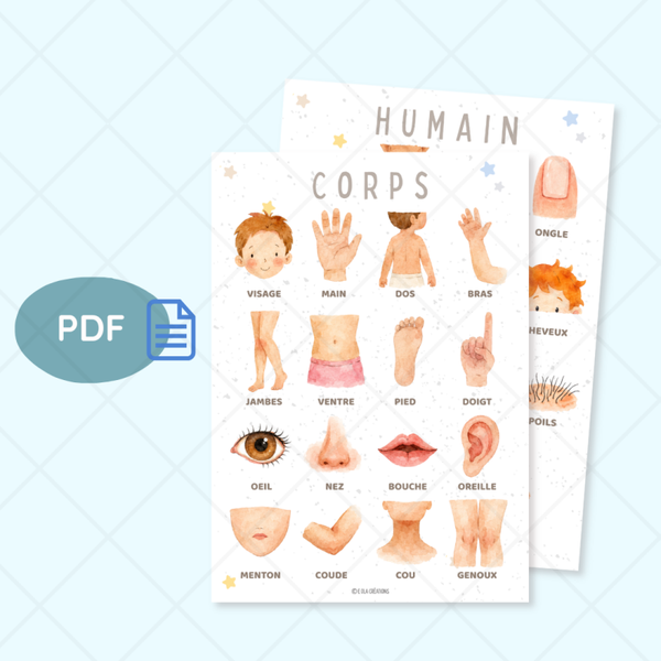 PDF Affiches "Corps humain"