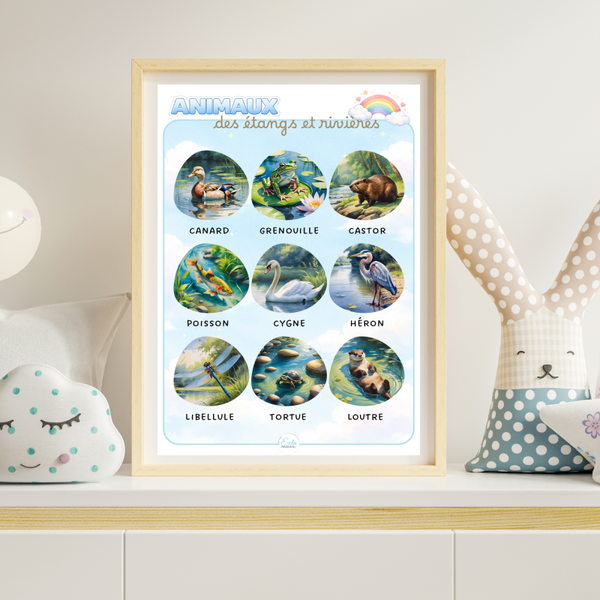 Affiche "animaux des étangs et rivières"