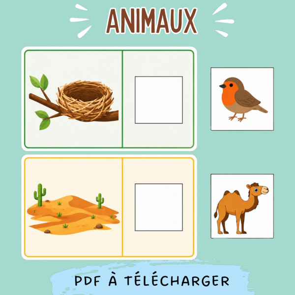 Animaux - milieux de vie  - DIY ✂️