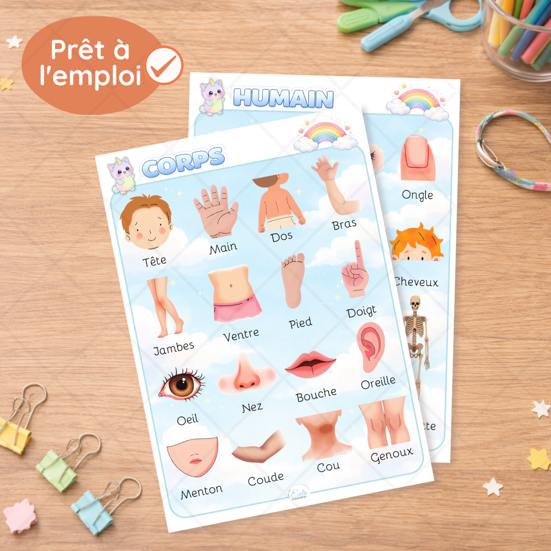 Affiches "Corps humain"