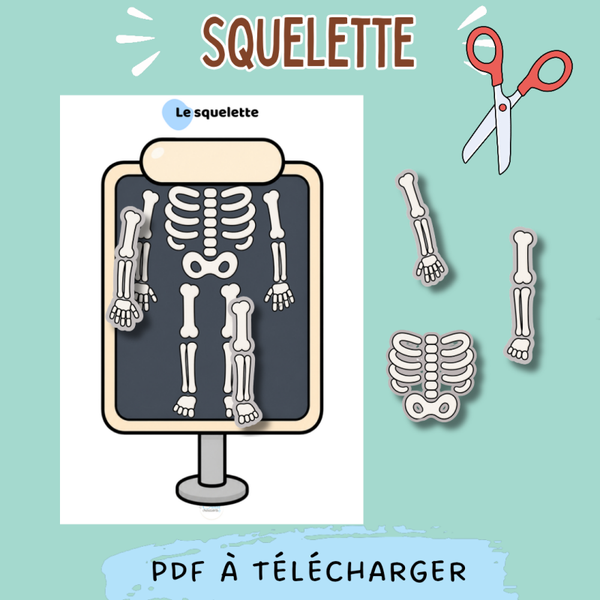 Squelette DIY ✂️