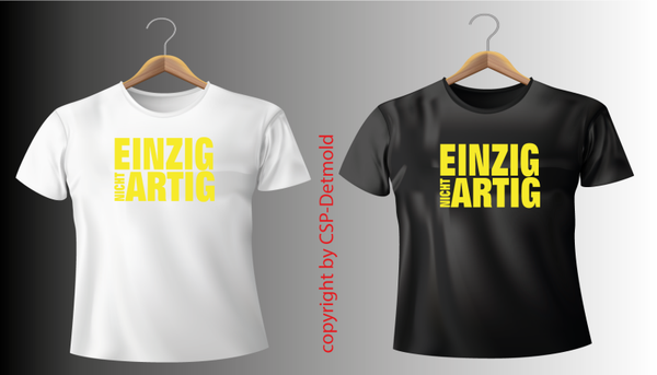 TS2306-46 Einzig artig