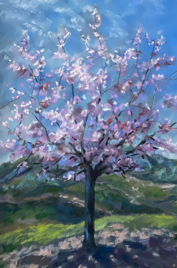 Spring in Andalusia