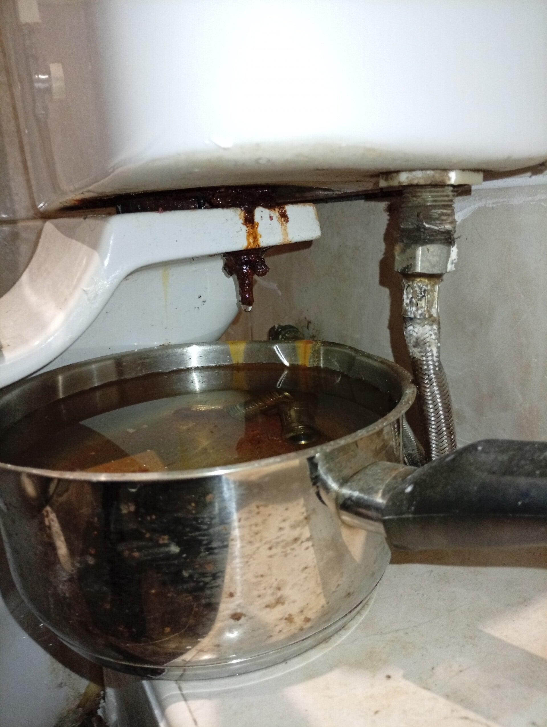Leaking toilet cistern dripping water into pot below