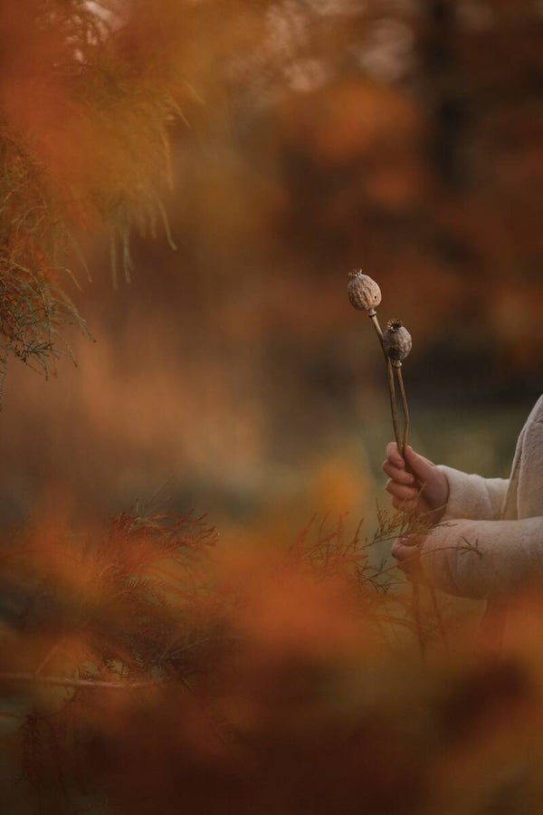 A Touch of Autumn – Aanraking van de herfst met gedroogde papavers