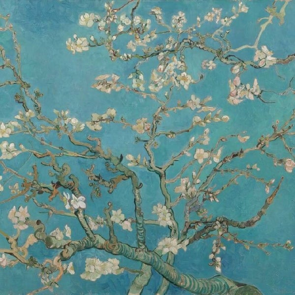 Amandelbloesem – Vincent van Gogh schilderij met bloesemtakken