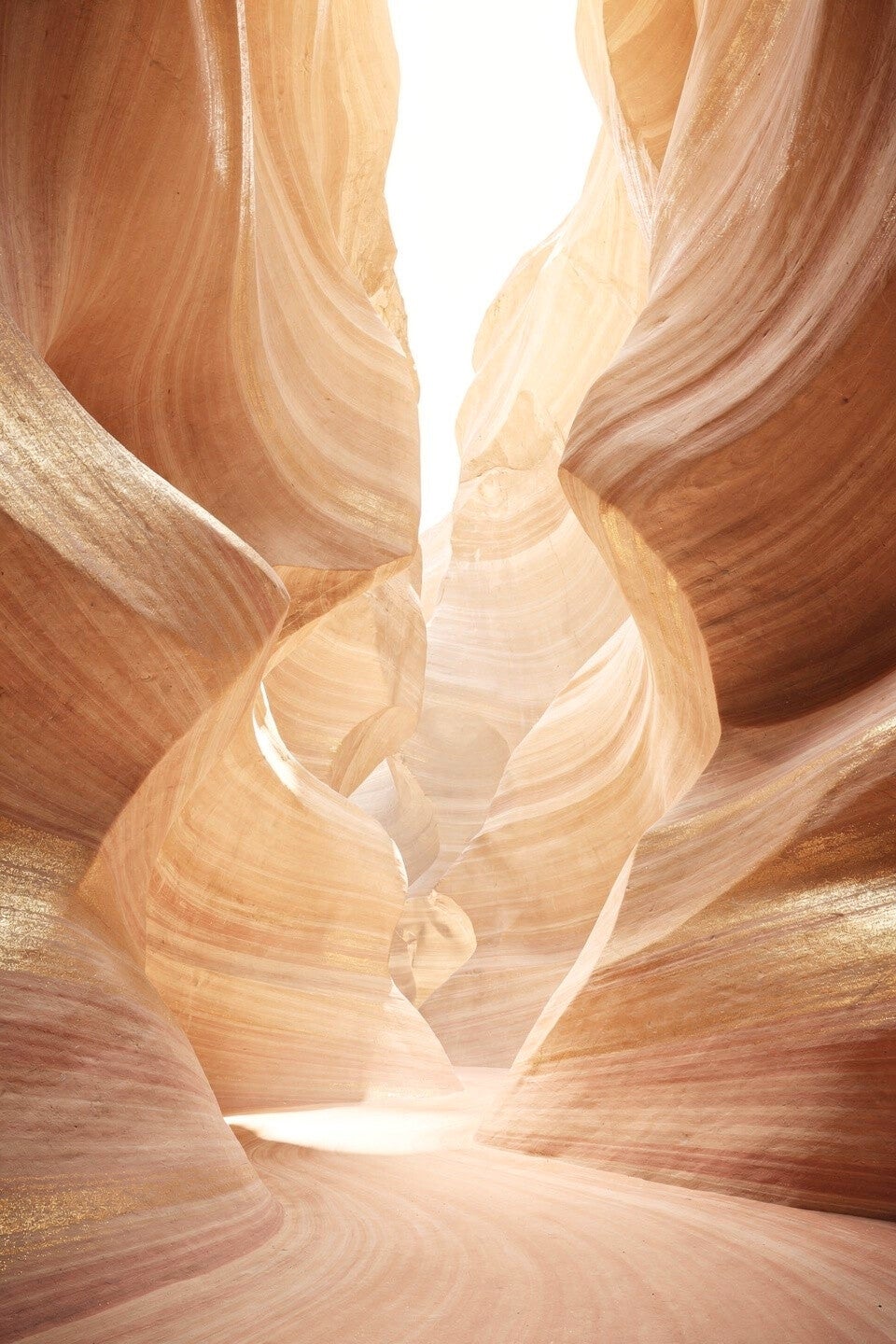 Gouden Kloof – canyon schilderij met goud en zachte aardetinten