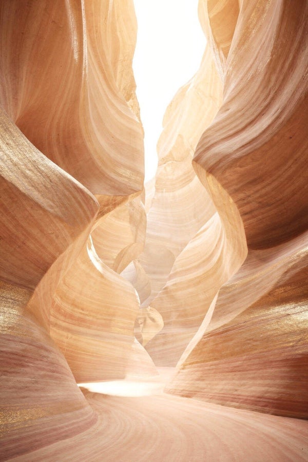Gouden Kloof – canyon schilderij met goud en zachte aardetinten