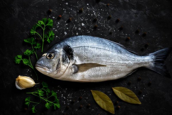 Zilver uit Zee – vis schilderij met kruiden, knoflook en zeezout voor keuken