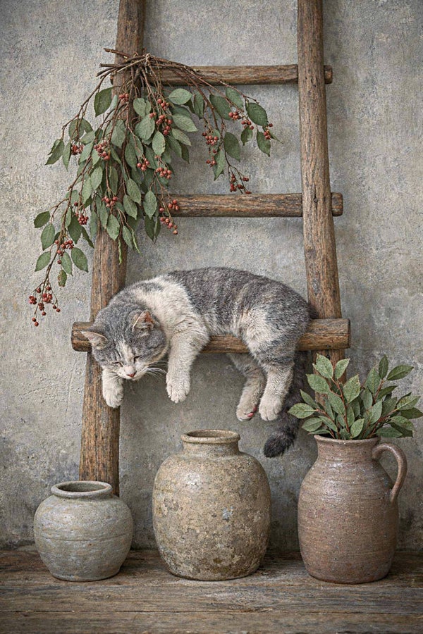 Dagdroom – schilderij met kat, ladder en kruiken in landelijke sfeer