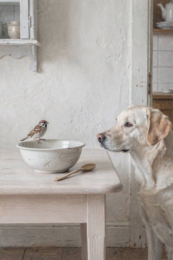 De stille ontmoeting – hond en mus bij de kom in landelijke woonstijl