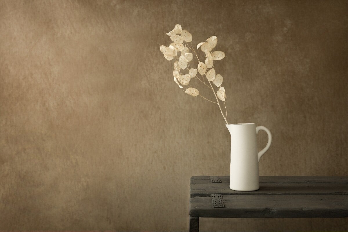 Still Life with Dried Honesty – Stilleven met gedroogde judaspenning in witte kruik – Naturel
