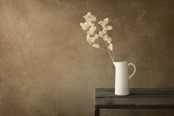 Still Life with Dried Honesty – Stilleven met gedroogde judaspenning in witte kruik – Naturel