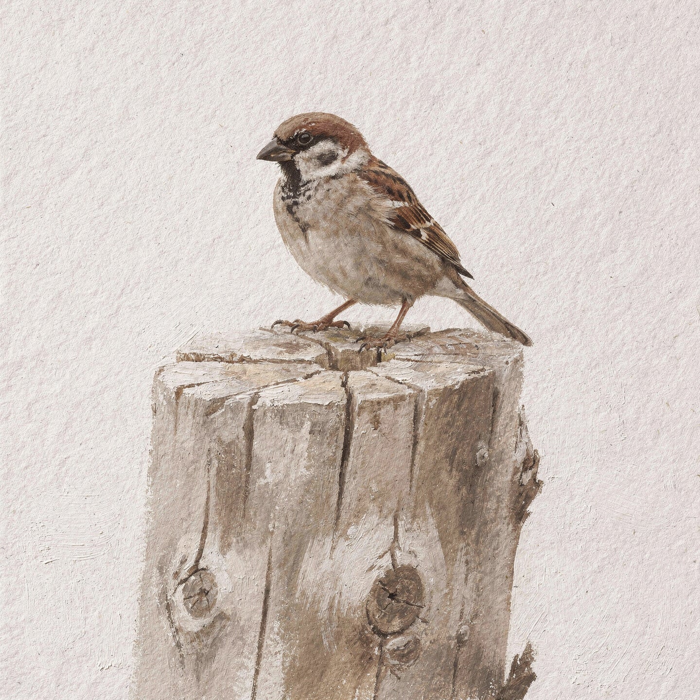 Mus op Boomstam – Rustiek Bruin & Gebroken Wit – Landelijk Wonen