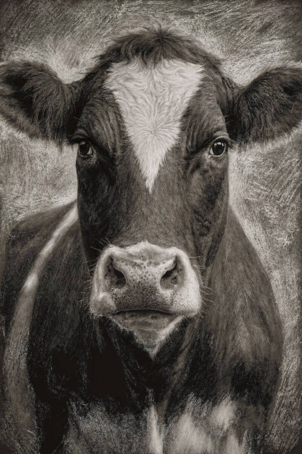 Kracht in Krijt – landelijk koe schilderij in zwart en wit