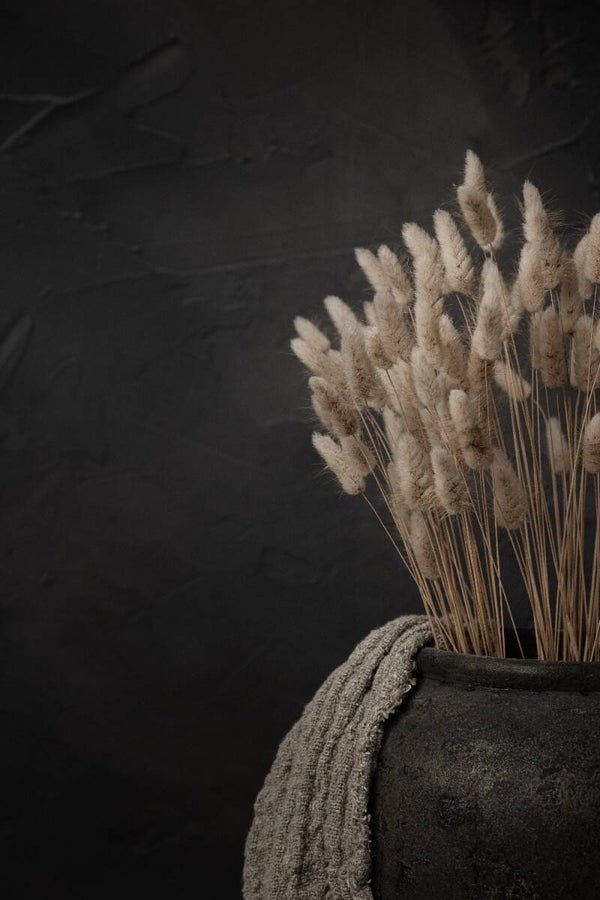 Landelijk stilleven met hazenstaart droogbloemen in kruik