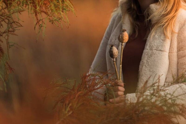 Autumn Warmth – gedroogde papavers