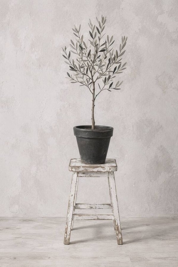 Olijf in Evenwicht – minimalistisch landelijk schilderij met olijfboom