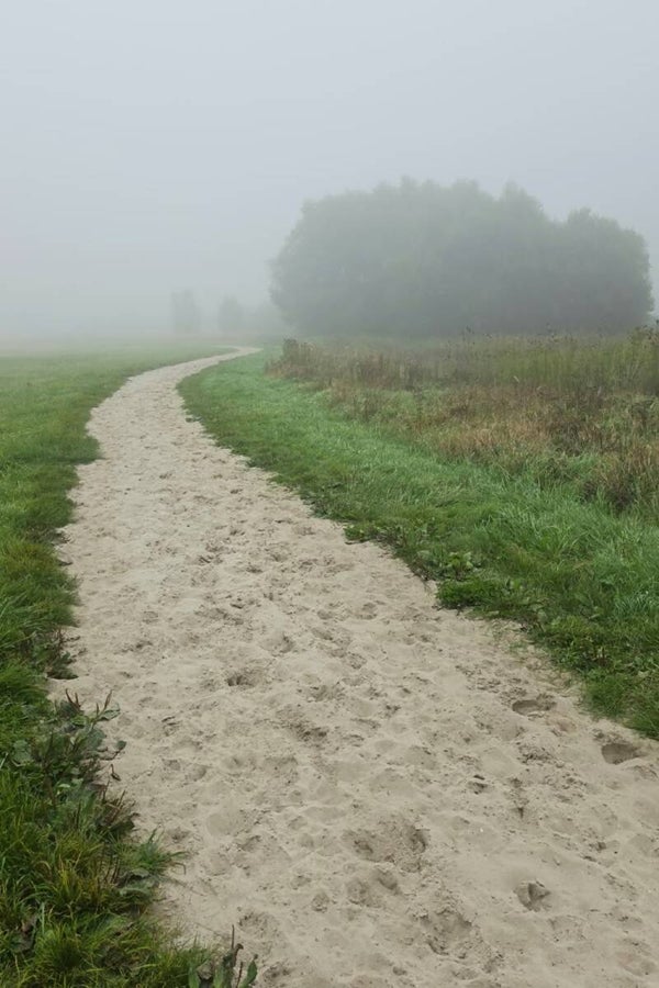 Pad door de Ochtendmist – mistig landschap schilderij met zandpad