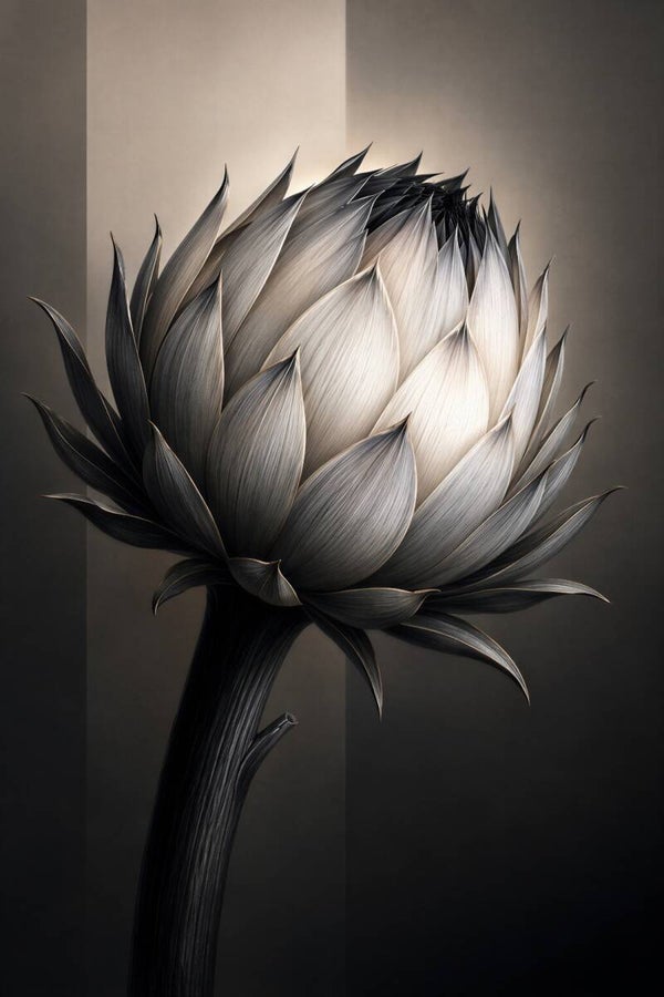 Silent Bloom – zwart-wit bloem kunstwerk met artisjokvormige bloem