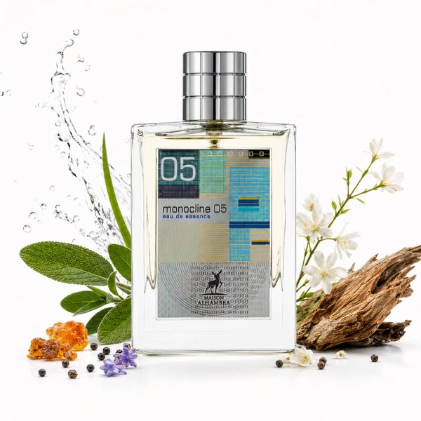 Monocline 05 – Maison Alhambra