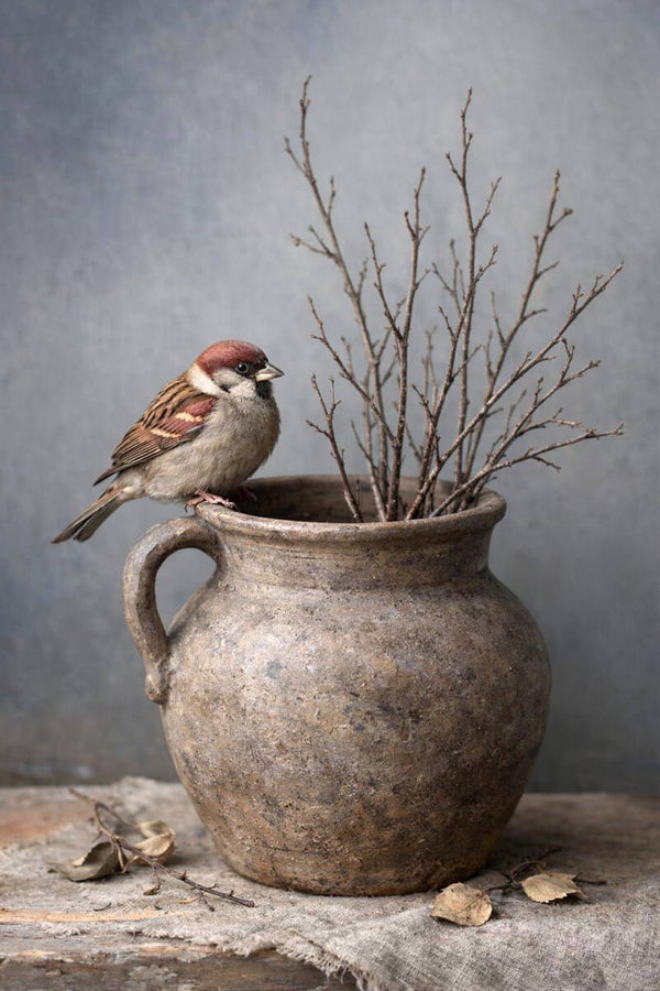 Mus bij kruik – schilderij met vogel en takjes in landelijke sfeer