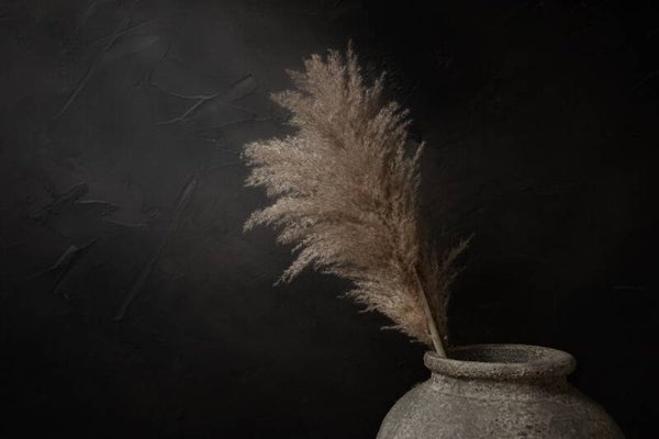 Donker stilleven met pampas pluimen in stenen kruik – landelijke wanddecoratie