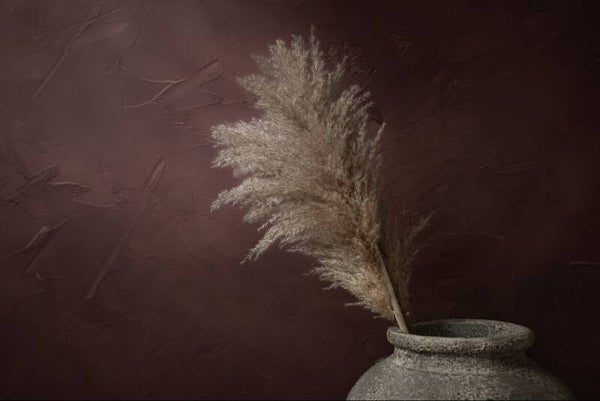 Pampas pluim & aards rood – pampas schilderij beige pluimen