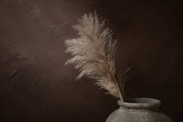 Pampas pluim & chocolade bruin – pampas schilderij beige pluimen