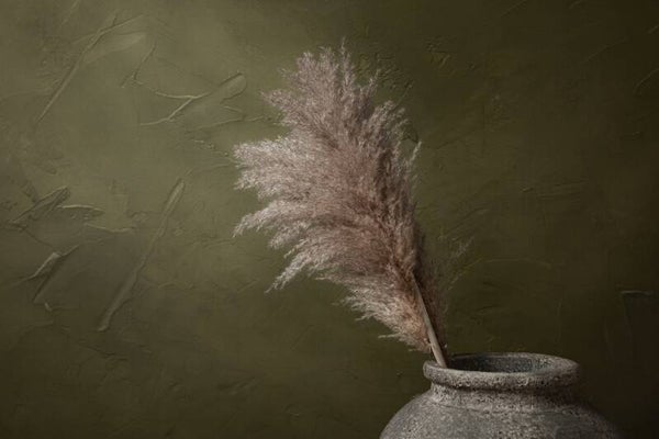 Pampas pluim & olijfgroen – pampas schilderij beige pluim in vaas