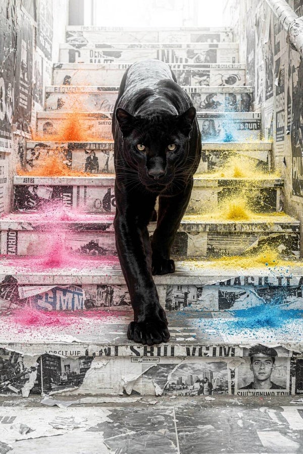 Kleurspoor – zwart panter schilderij in urban mix media stijl