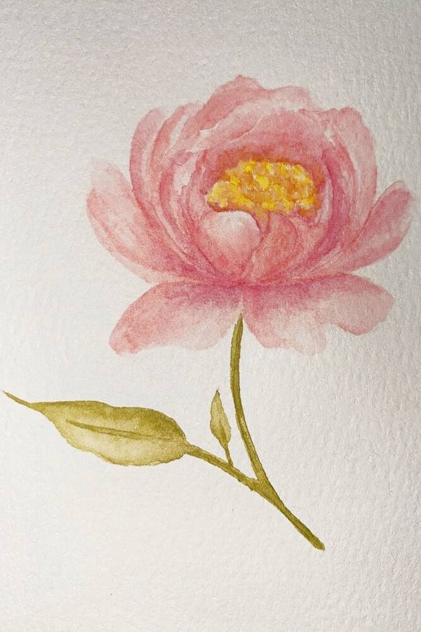 Zachte Peonie – handgeschilderd pioenroos schilderij