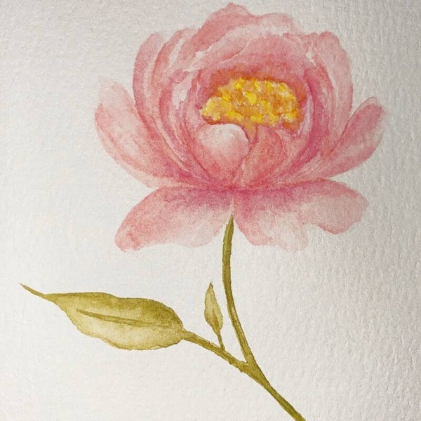 Aquarel Peonie – handgeschilderd pioenroos schilderij