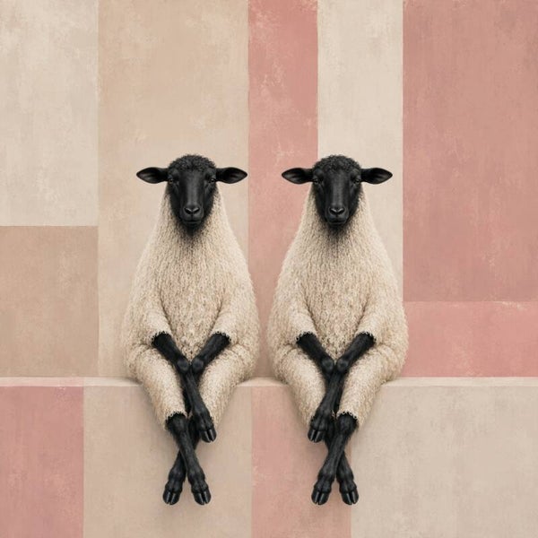 Roze Wolgenoten – modern schapen schilderij in zachte pasteltinten