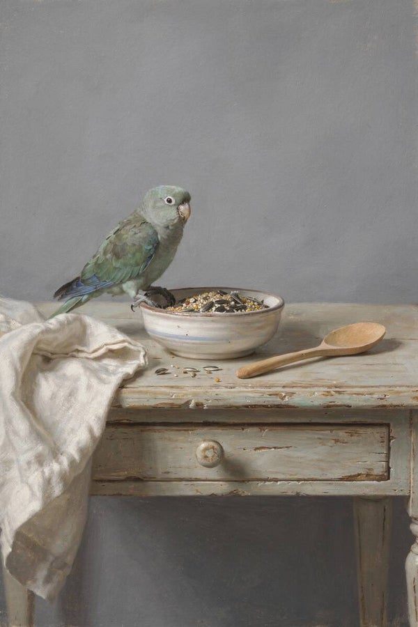Stil Ontbijt – schilderij met groenwangparkiet (Pyrrhura) bij zadenkom