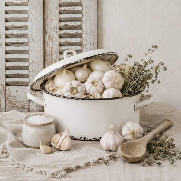 Schilderij landelijke keuken – Stilleven met gevulde emaille pan en knoflook – De Gevulde Emaille Pan