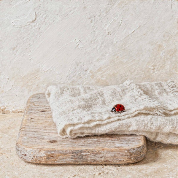 Schilderij Lieveheersbeestje op Linnen Doek – Beige & Natuurwit – Landelijk Stilleven