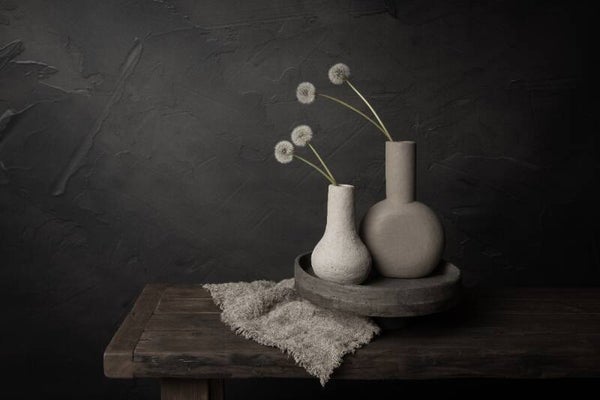 Serene Beauties - Donker stilleven met pluizenbollen van paardenbloemen