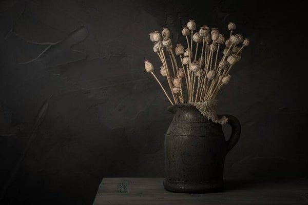 Stilleven met gedroogde papaver bollen in stenen kruik – landelijke wanddecoratie
