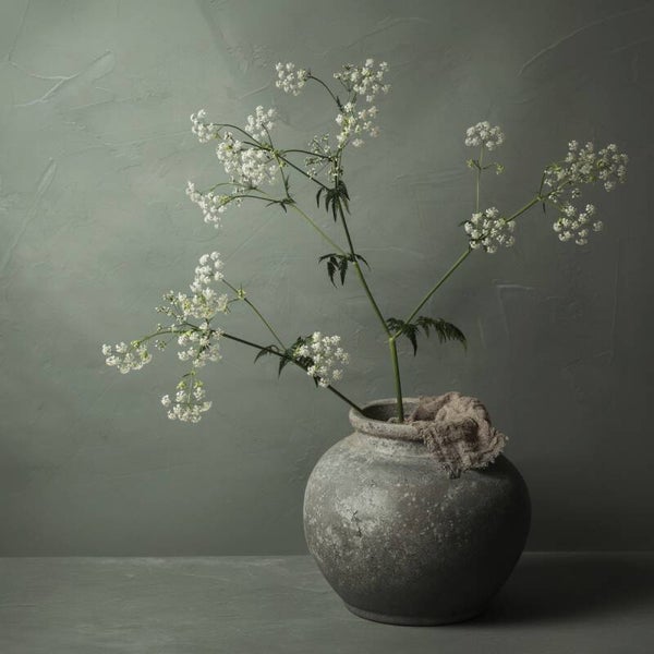 Tijdloos Fluitenkruid – botanische wanddecoratie met fluitenkruid en kruik