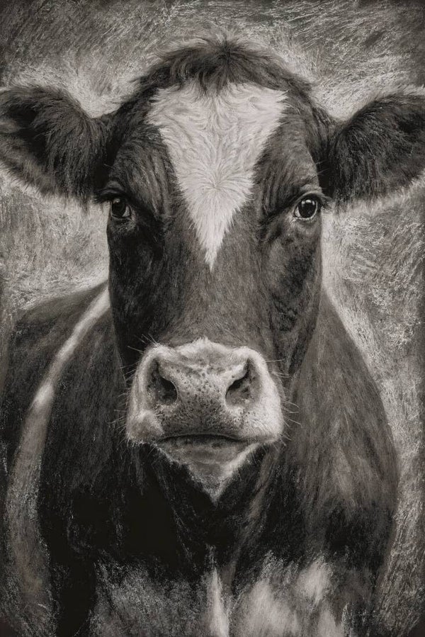 Vaste Blik – landelijk koe schilderij in grijstinten