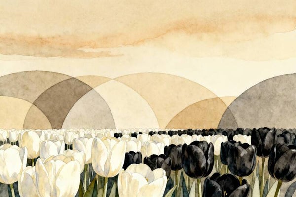 Schaduwveld – abstract tulp schilderij met zwart-witte bloemen