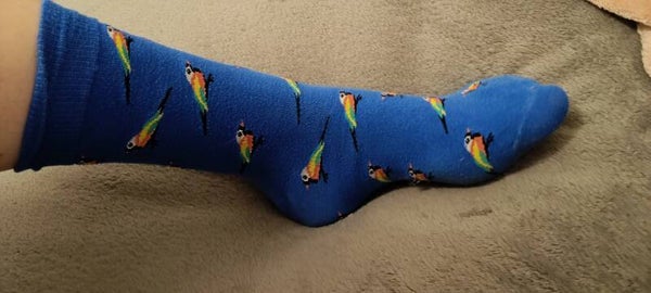 Papagei Socken