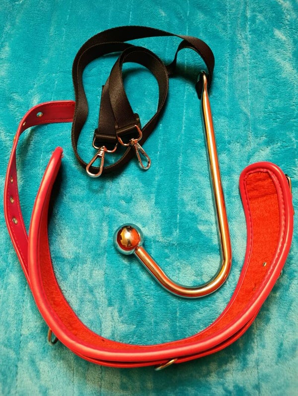 SM Spielzeug Anal Harken mit Halsband in OVP