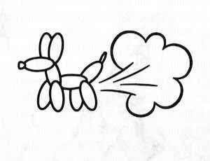 Video Nummer 79 - Pups