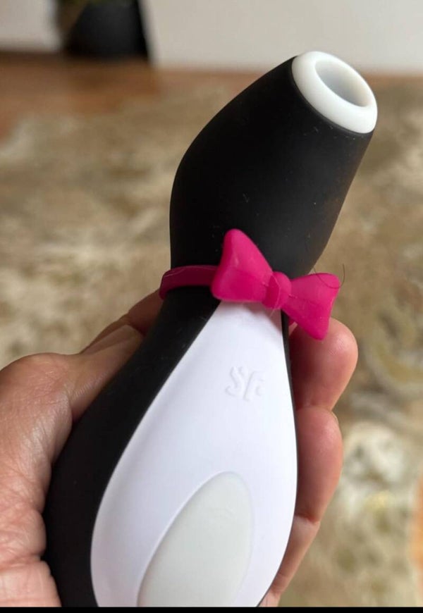 Video Nummer 273 - SB Auflege Vibrator