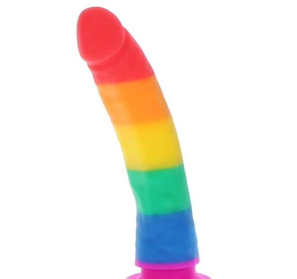 Video Nummer 276 - Regenbogen Dildo SB