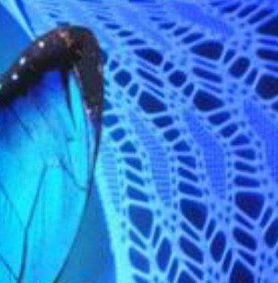 Video Nummer 386 - SB Alien Dildo