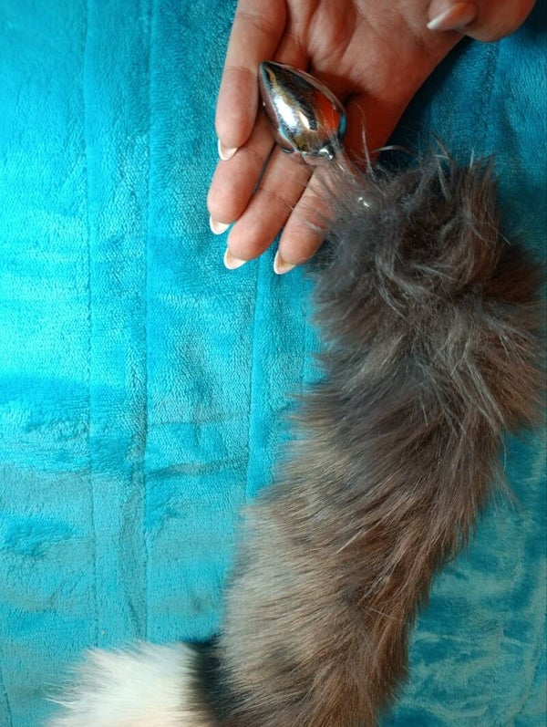 Tail-Plug